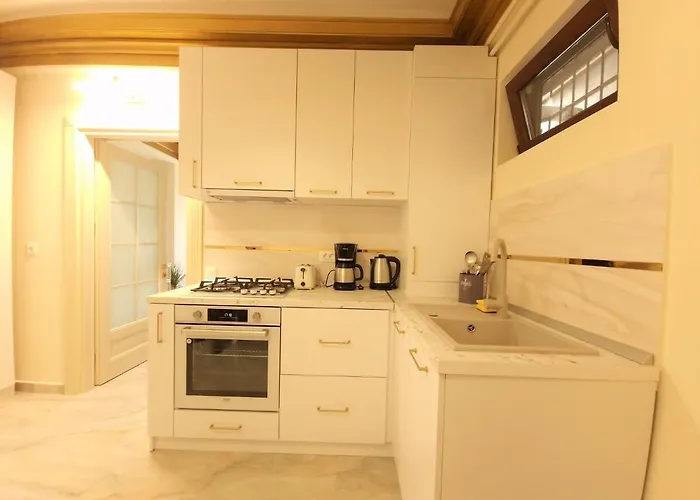 Laroka House Luxury Center Universitate *